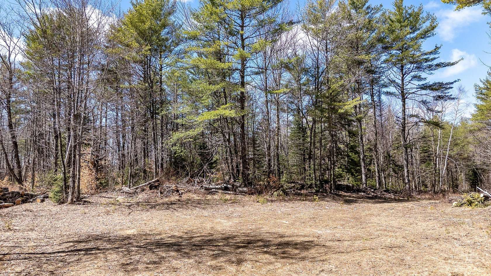 95 Acres of Recreational Land for Sale in Sangerville, Maine