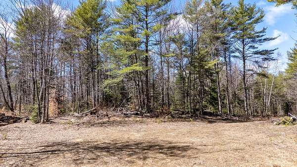 95 Acres of Recreational Land for Sale in Sangerville, Maine