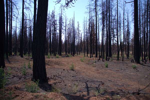 2.3 Acres of Residential Land for Sale in Bonanza, Oregon