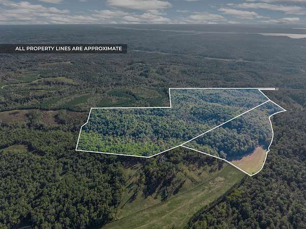 145 Acres of Recreational Land for Sale in Dover, Tennessee