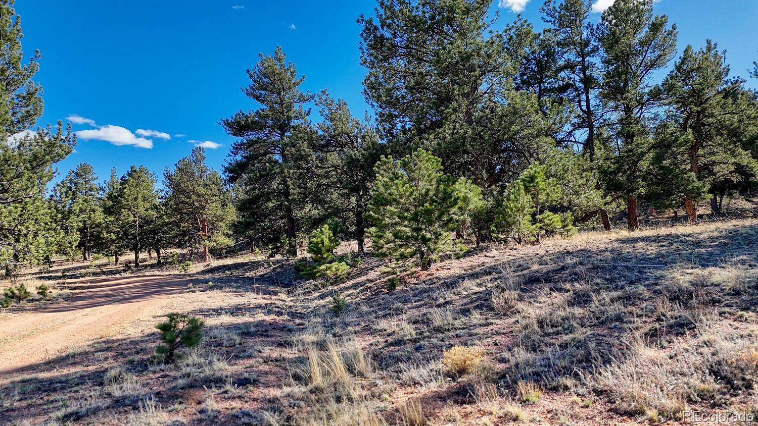 4.46 Acres of Land for Sale in Hartsel, Colorado