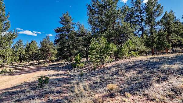 4.46 Acres of Land for Sale in Hartsel, Colorado
