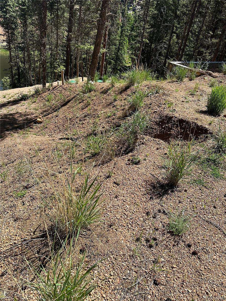 3.48 Acres of Residential Land for Sale in Florissant, Colorado