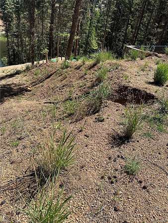 3.48 Acres of Residential Land for Sale in Florissant, Colorado