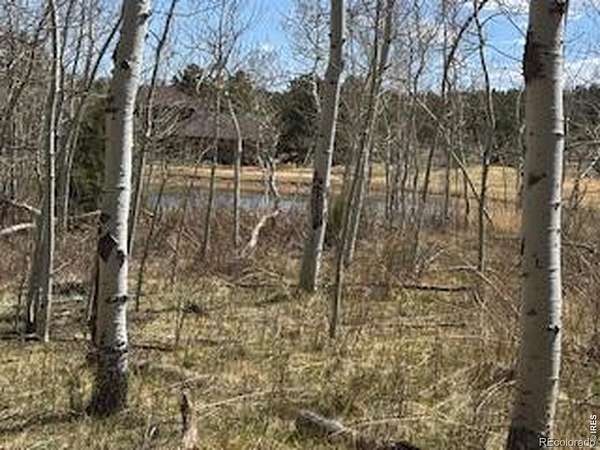 0.26 Acres of Residential Land for Sale in Red Feather Lakes, Colorado