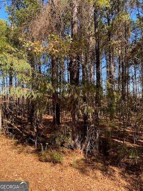 2.3 Acres of Residential Land for Sale in Thomaston, Georgia