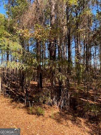 2.3 Acres of Residential Land for Sale in Thomaston, Georgia