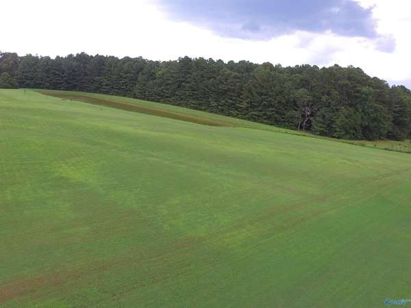 10 Acres of Land for Sale in Elkmont, Alabama