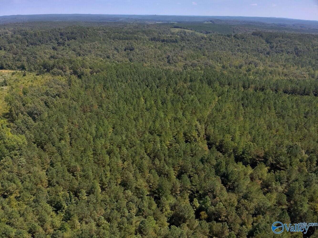 595 Acres of Land for Sale in Sulligent, Alabama