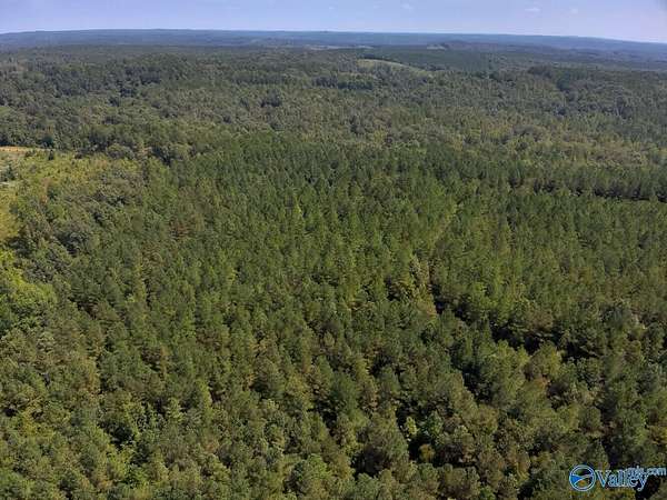 595 Acres of Land for Sale in Sulligent, Alabama