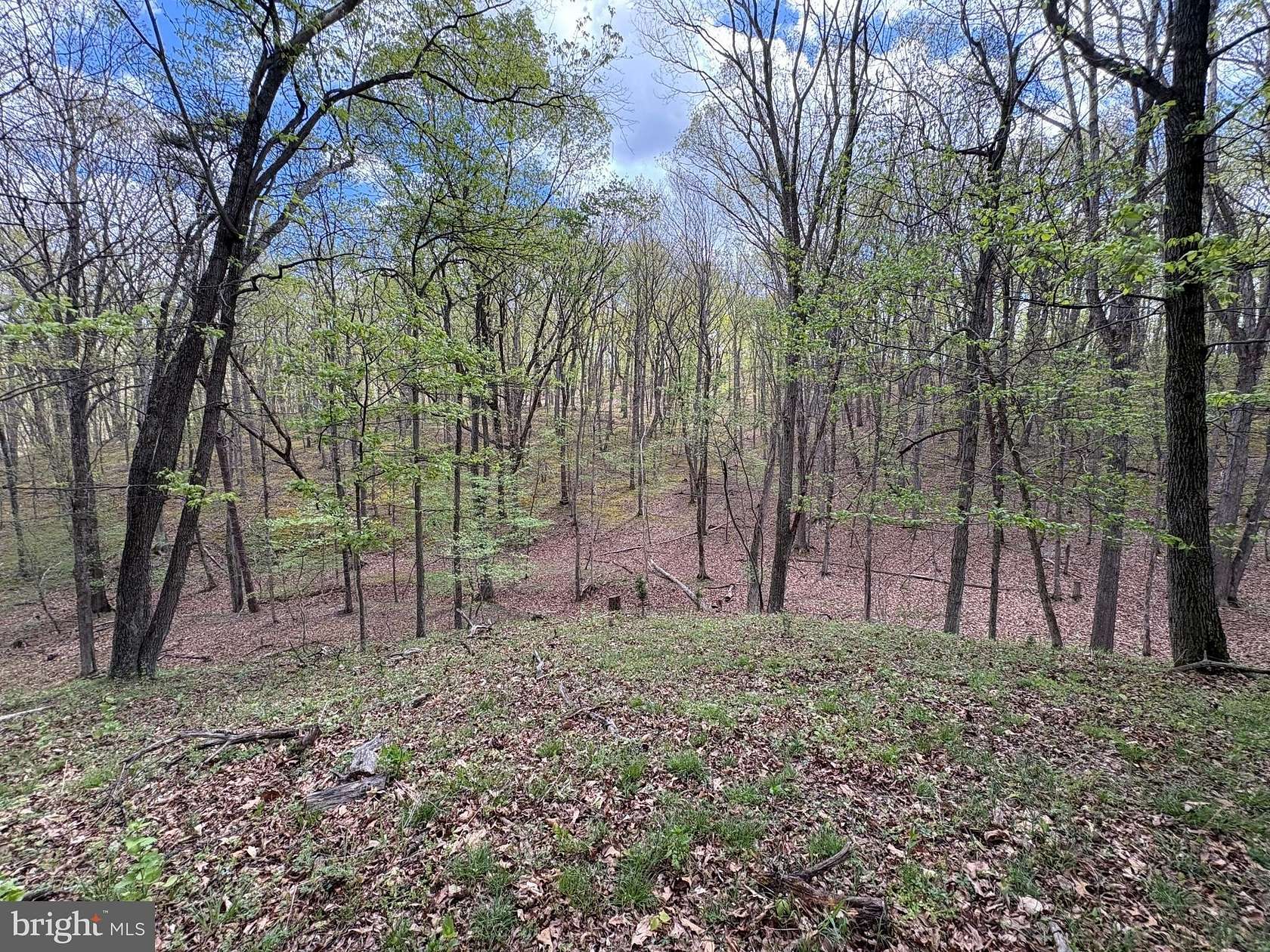 15 Acres of Recreational & Residential Land for Sale in Romney, West Virginia