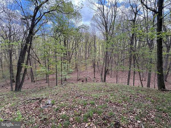 15 Acres of Recreational & Residential Land for Sale in Romney, West Virginia