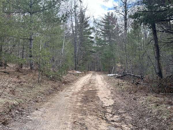 10 Acres of Residential Land for Sale in Gaylord, Michigan