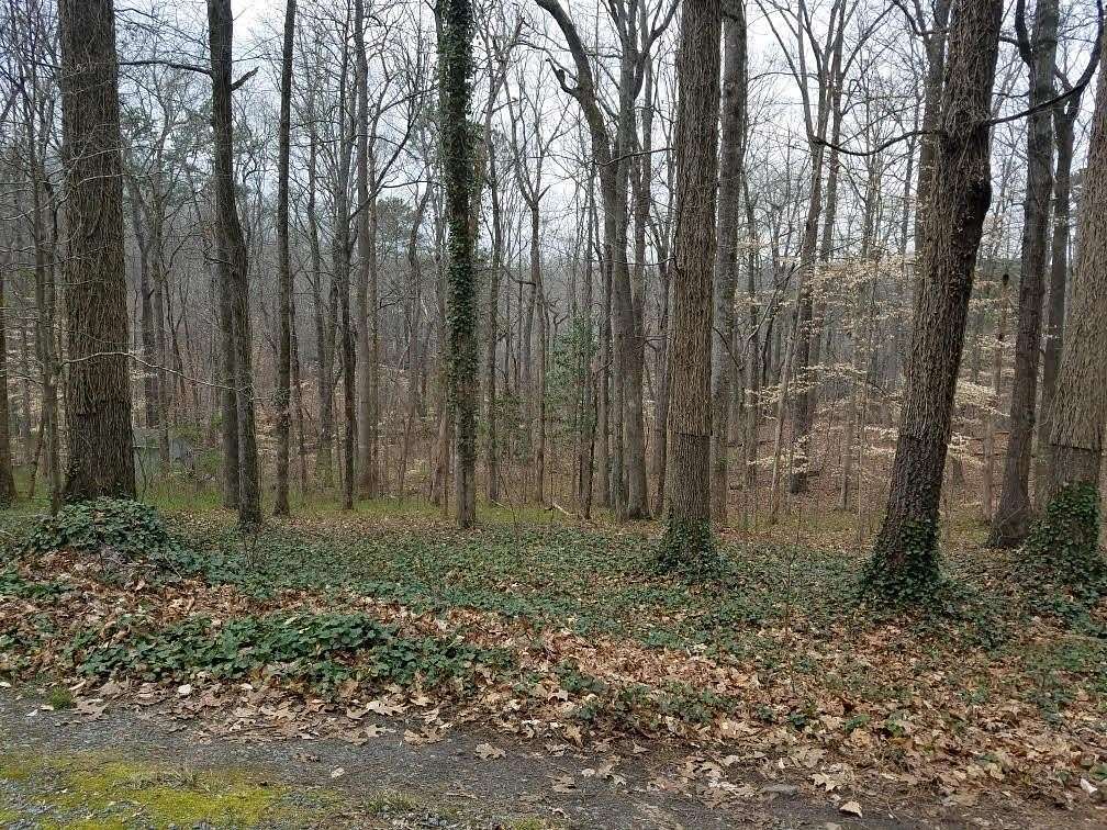 1.18 Acres of Residential Land for Sale in Marietta, Georgia