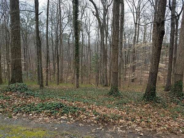 1.18 Acres of Residential Land for Sale in Marietta, Georgia