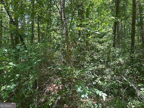 0.36 Acres of Land for Sale in Martin, Georgia