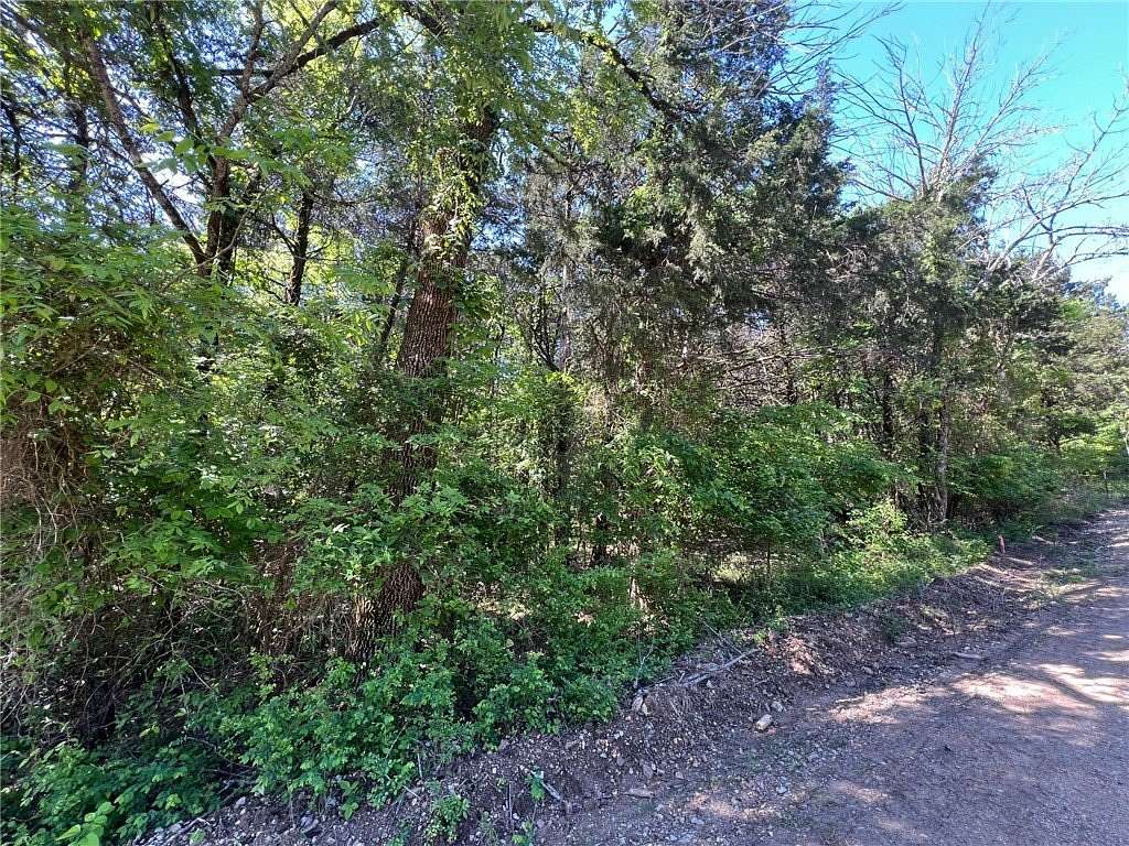 0.37 Acres of Land for Sale in Diamond City, Arkansas