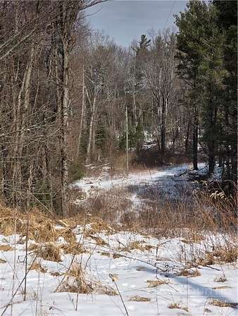 2.65 Acres of Residential Land for Sale in Sparta, North Carolina