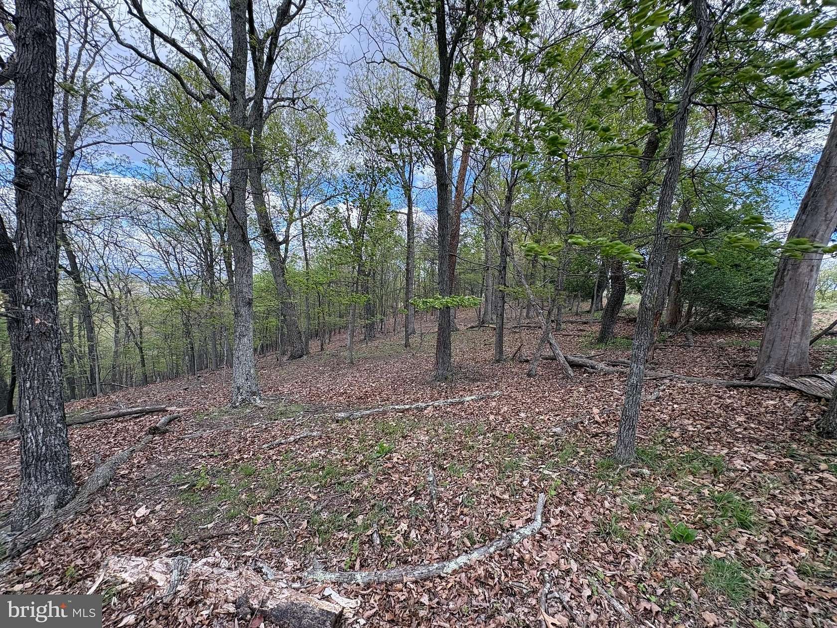 10 Acres of Residential Land for Sale in Burlington, West Virginia