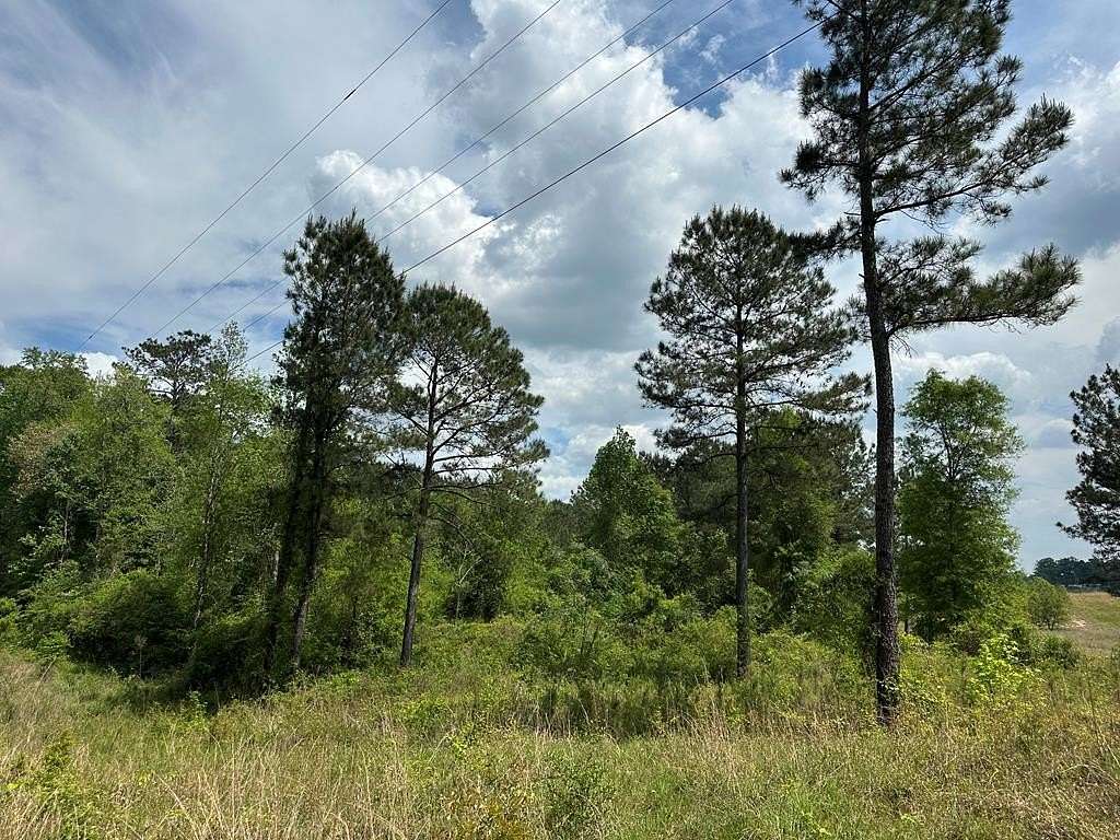 20 Acres of Land for Sale in Seminary, Mississippi