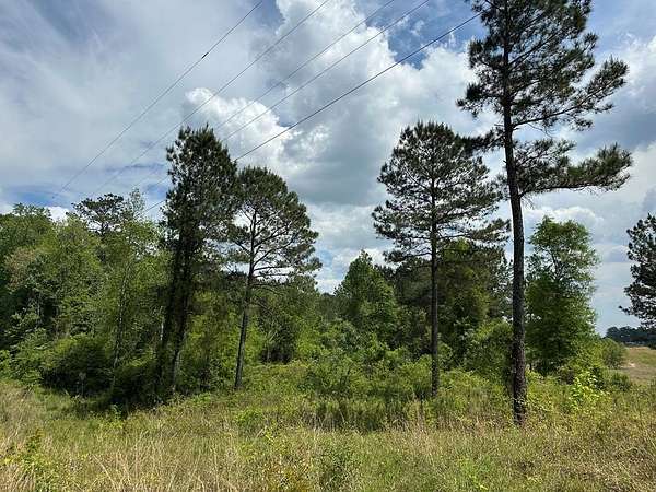 20 Acres of Land for Sale in Seminary, Mississippi