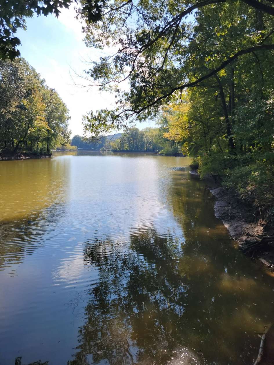 2 Acres of Residential Land for Sale in Clifton, Tennessee