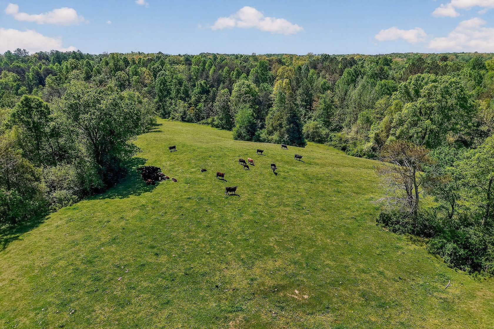 105 Acres of Agricultural Land for Sale in Rock Island, Tennessee