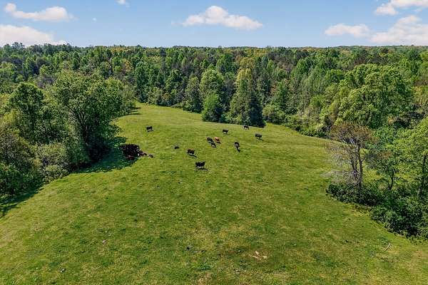 105 Acres of Agricultural Land for Sale in Rock Island, Tennessee