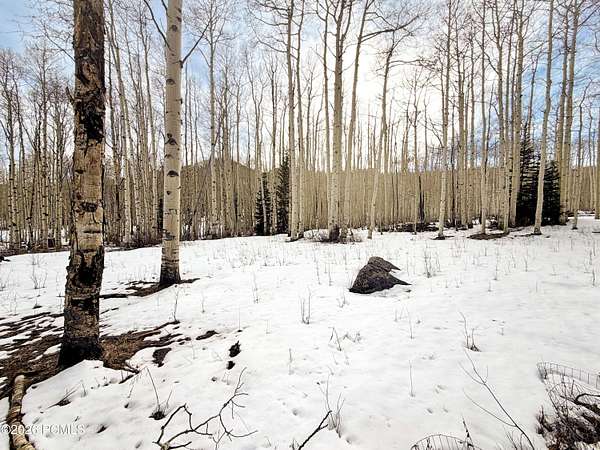 0.48 Acres of Land for Sale in Midway, Utah