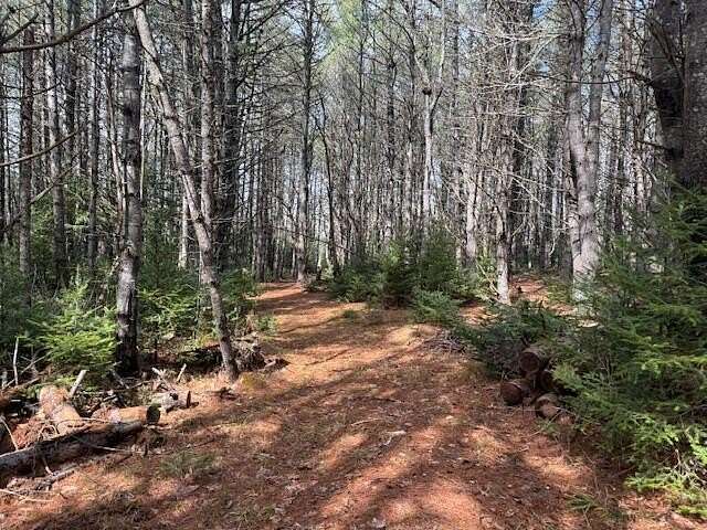 23 Acres of Recreational & Residential Land for Sale in Glenburn Town, Maine