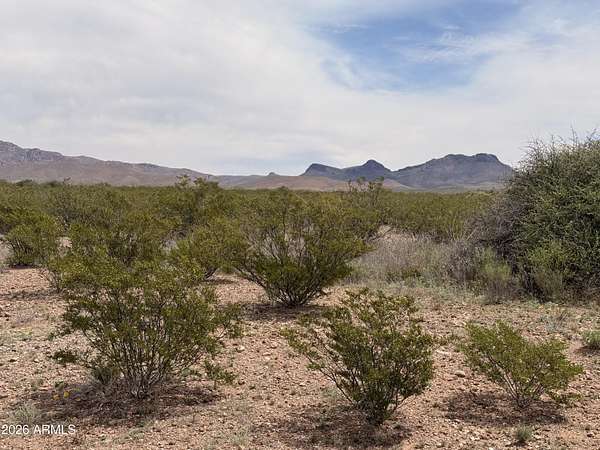 0.29 Acres of Residential Land for Sale in Douglas, Arizona