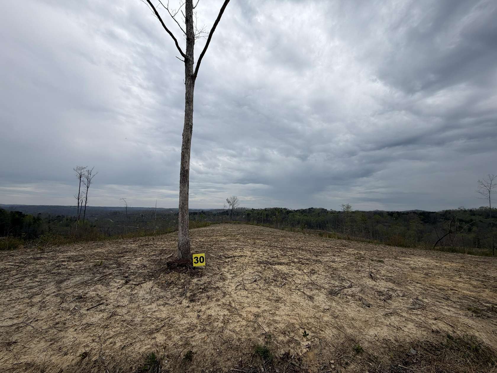 8.58 Acres of Residential Land for Sale in East Bernstadt, Kentucky