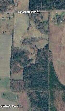 90.6 Acres of Recreational Land for Sale in Whitakers, North Carolina