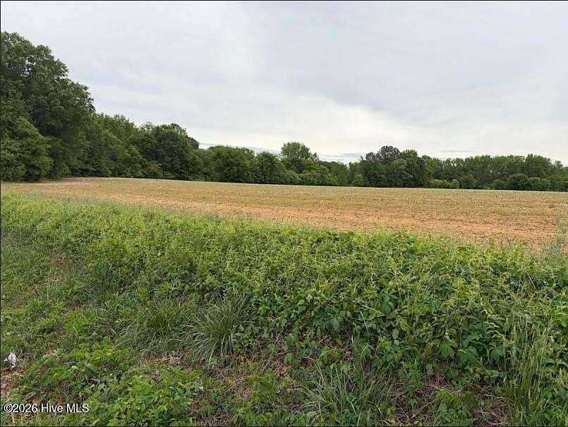 90.6 Acres of Recreational Land for Sale in Whitakers, North Carolina