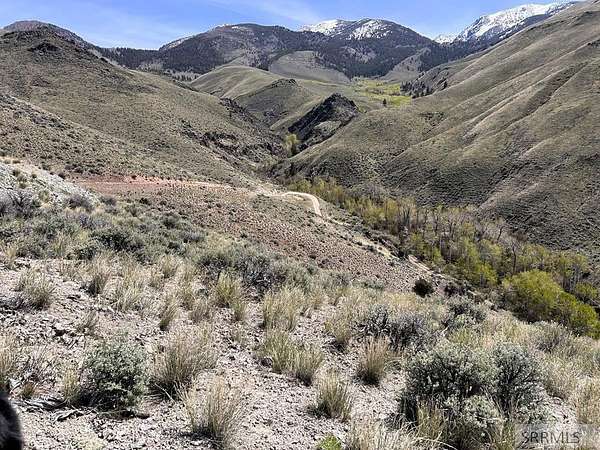 37.3 Acres of Recreational & Residential Land for Sale in Salmon, Idaho