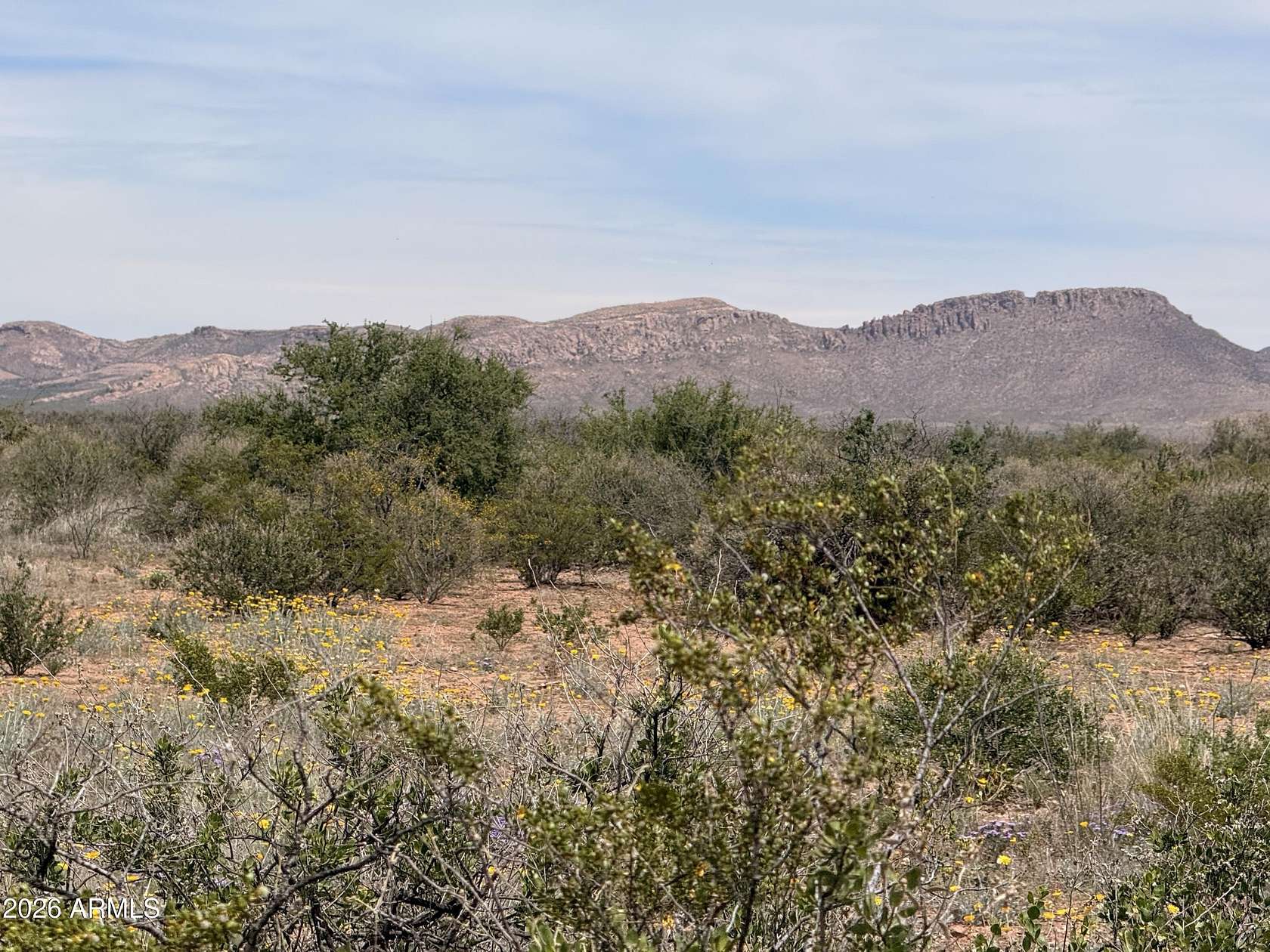 0.32 Acres of Residential Land for Sale in Douglas, Arizona