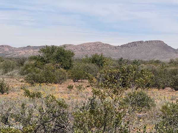 0.32 Acres of Residential Land for Sale in Douglas, Arizona