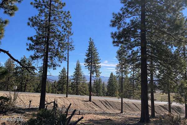 0.5 Acres of Residential Land for Sale in Carson City, Nevada