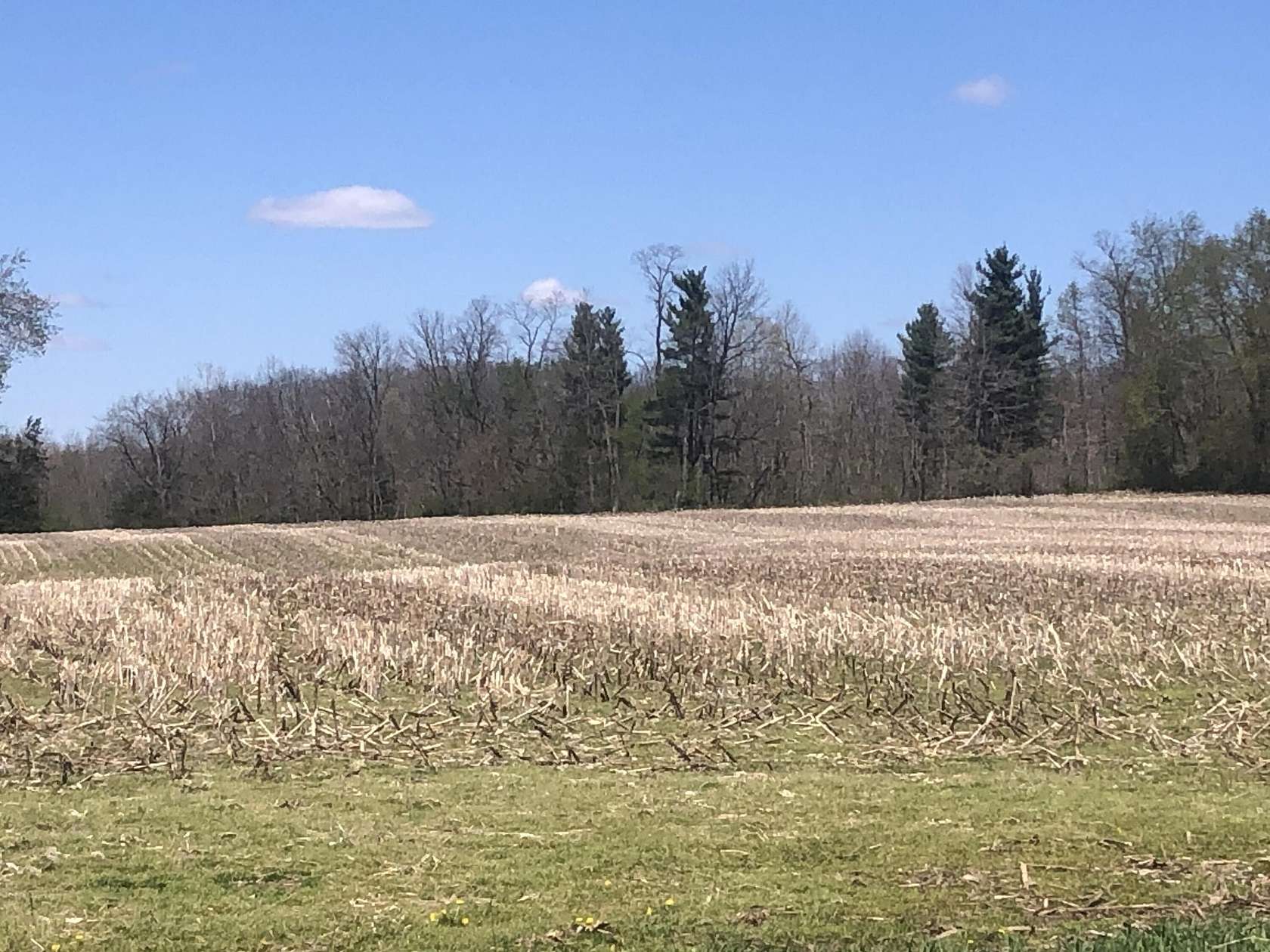 30 Acres of Land for Sale in Reading, Michigan