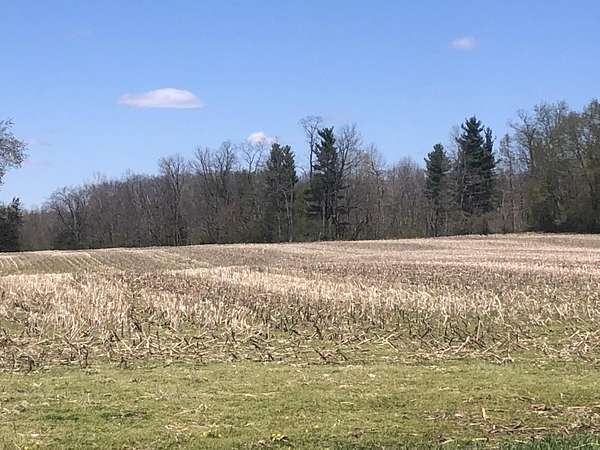 30 Acres of Land for Sale in Reading, Michigan