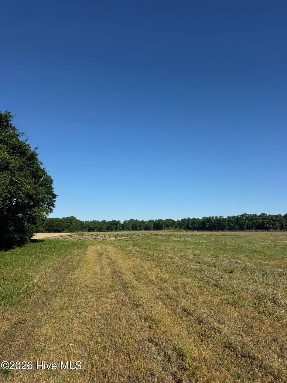 20.6 Acres of Land for Sale in Turkey, North Carolina