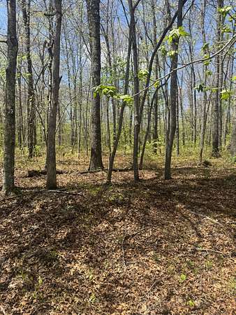 0.07 Acres of Residential Land for Sale in Sparta, Tennessee