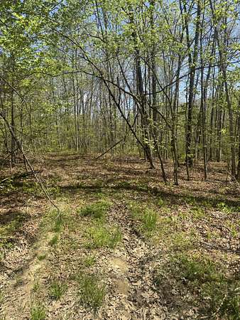 0.06 Acres of Residential Land for Sale in Sparta, Tennessee