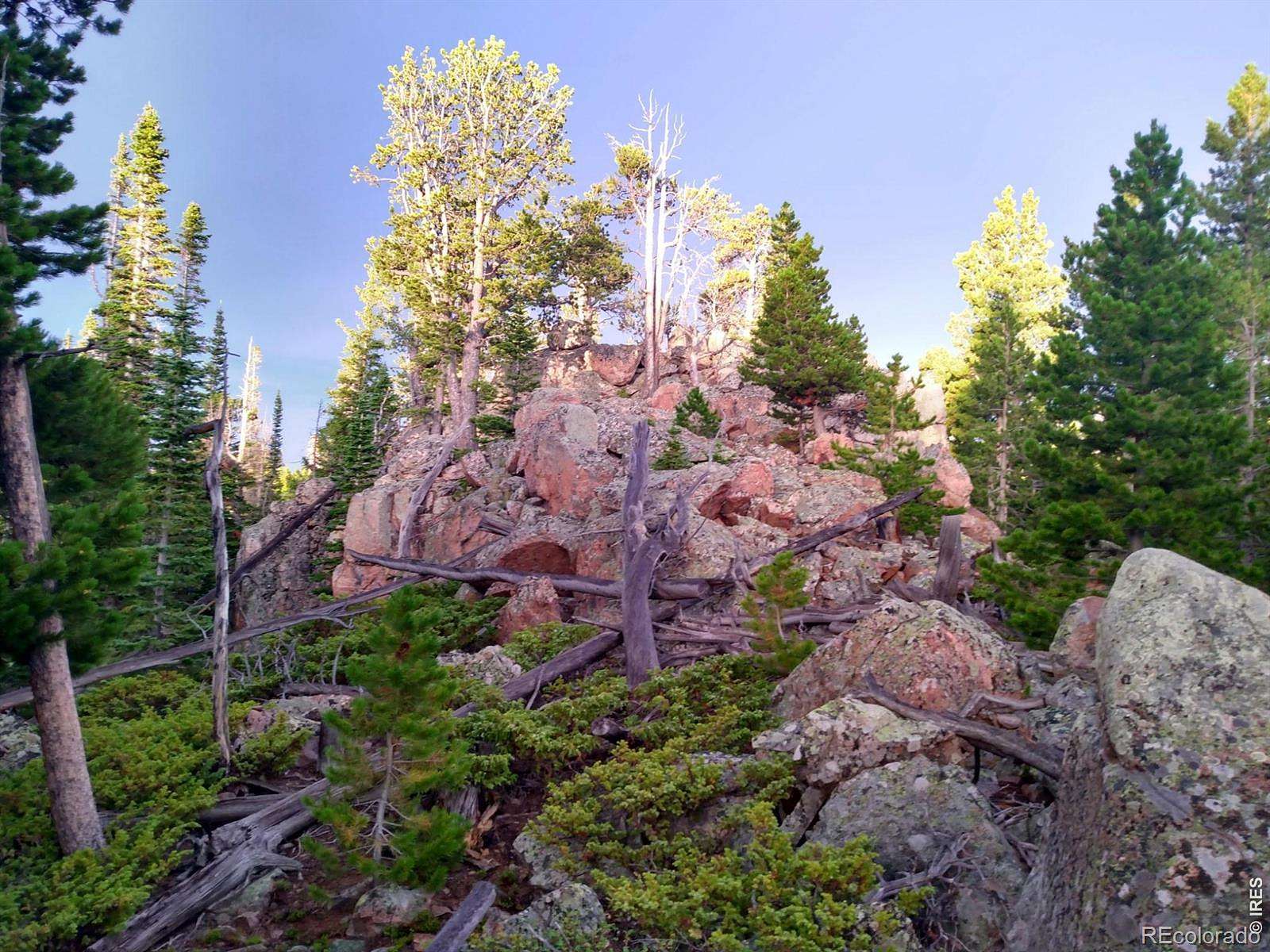 80 Acres of Recreational Land for Sale in Red Feather Lakes, Colorado