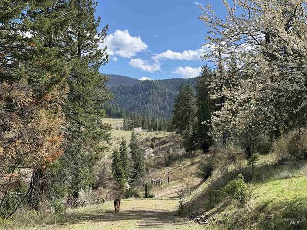 9.44 Acres of Residential Land for Sale in Clearwater, Idaho