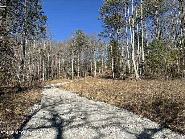 4.24 Acres of Residential Land for Sale in Rockwood, Tennessee