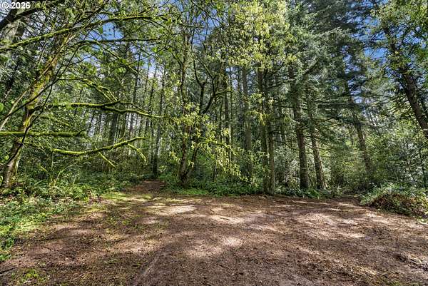 5.53 Acres of Residential Land for Sale in La Center, Washington