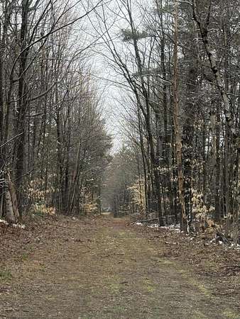 28.5 Acres of Recreational Land for Sale in St. Regis Falls, New York