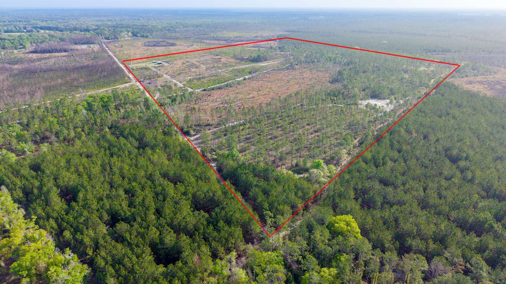84 Acres of Land for Sale in Gainesville, Florida