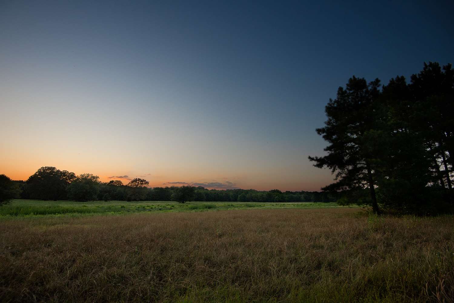 863 Acres of Land for Sale in Big Sandy, Texas